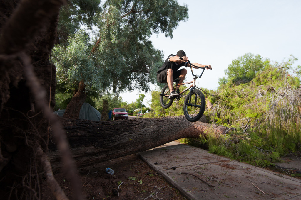 Eric Bahaman, 29, jumps his bike over a tree that fell down in the front yard of his Tempe home on Tuesday, Sept. 1, 2015. The previous night's rain storm knocked the tree down.