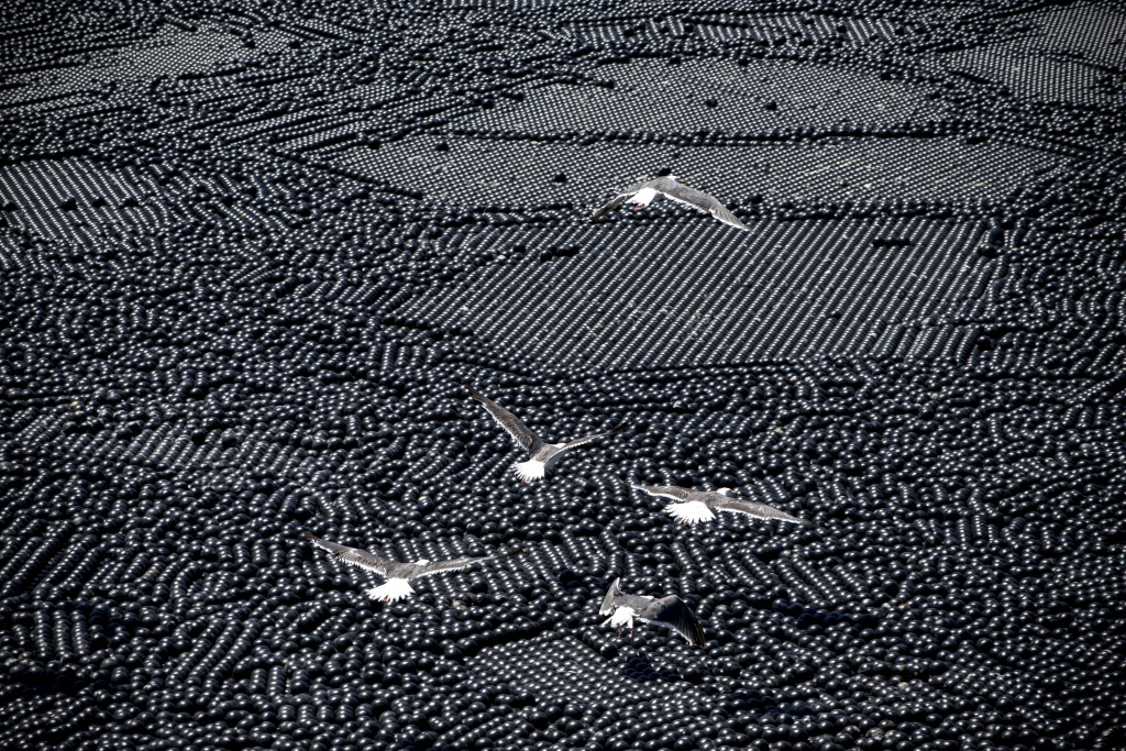 "Shade balls" cover the Las Virgenes Municipal Water District recycled water reservoir, August 17, 2015, in Calabasas, California. The four-inch balls prevent evaporation and algae growth.